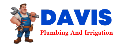 Trusted plumber in LAMARTINE